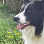 아파트 Am Bauernhof Zechner Heidi *