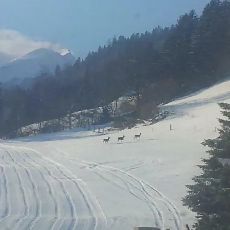 Am Bauernhof Zechner Heidi * Flattach